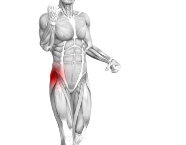 Kırmızı sıcak nokta inflamasyon eklem eklem ağrısı için bacak sağlık tedavi veya spor kas kavramı ile kavramsal hip insan anatomisi. 3D çizim adam artrit veya kemik boğaz osteoporoz hastalığı