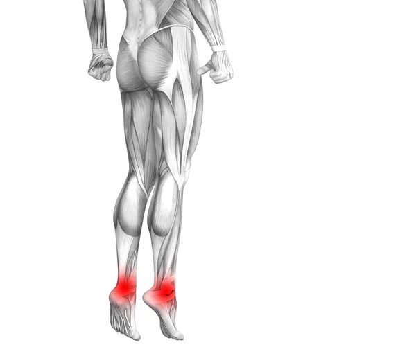 Концептуальна Анатомія Щиколотки Людини Запаленням Червоної Гарячої Точки Або Суглобовим — стокове фото