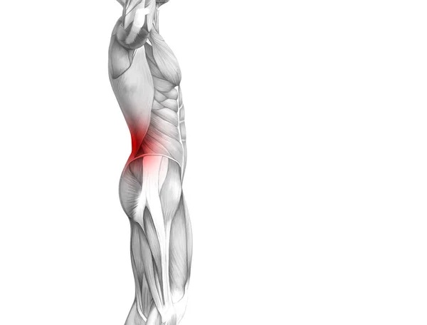 Концептуальна Людська Анатомія Червоною Гарячою Плямою Запалення Суглобового Болю Або — стокове фото