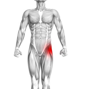 Kırmızı sıcak nokta inflamasyon eklem eklem ağrısı için bacak sağlık tedavi veya spor kas kavramı ile kavramsal hip insan anatomisi. 3D çizim adam artrit veya kemik boğaz osteoporoz hastalığı