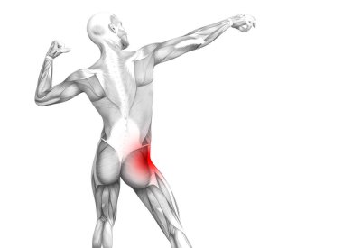 Kırmızı sıcak nokta inflamasyon eklem eklem ağrısı için bacak sağlık tedavi veya spor kas kavramı ile kavramsal hip insan anatomisi. 3D çizim adam artrit veya kemik boğaz osteoporoz hastalığı