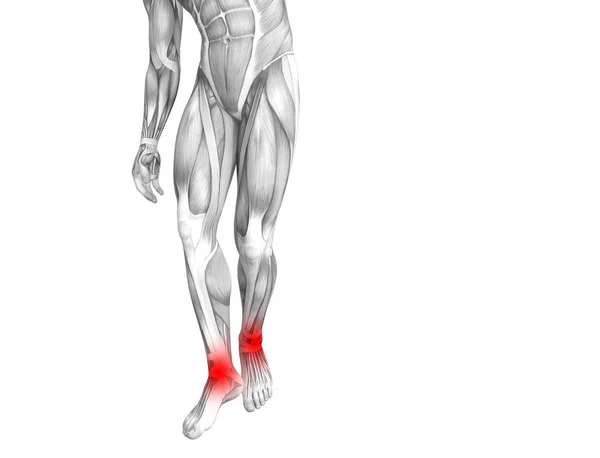 Conceptual ankle human anatomy with red hot spot inflammation or articular joint pain for leg health care therapy or sport muscle concepts. 3D illustration man arthritis or bone osteoporosis disease