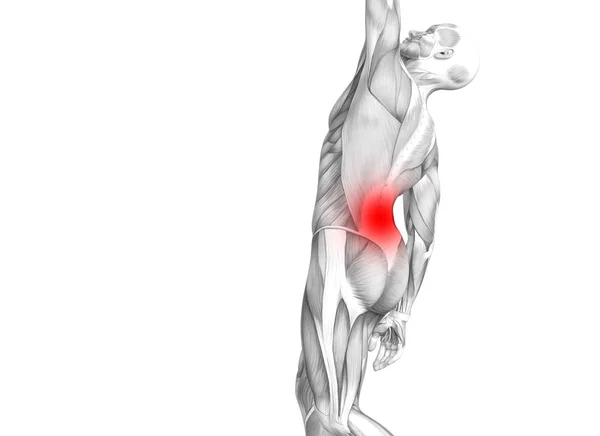 Концептуальна Людська Анатомія Червоною Гарячою Плямою Запалення Суглобового Болю Або — стокове фото