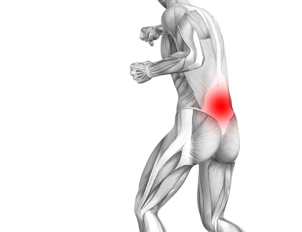 Концептуальная Анатомия Спины Человека Воспалением Красной Горячей Точки Суставной Боли — стоковое фото