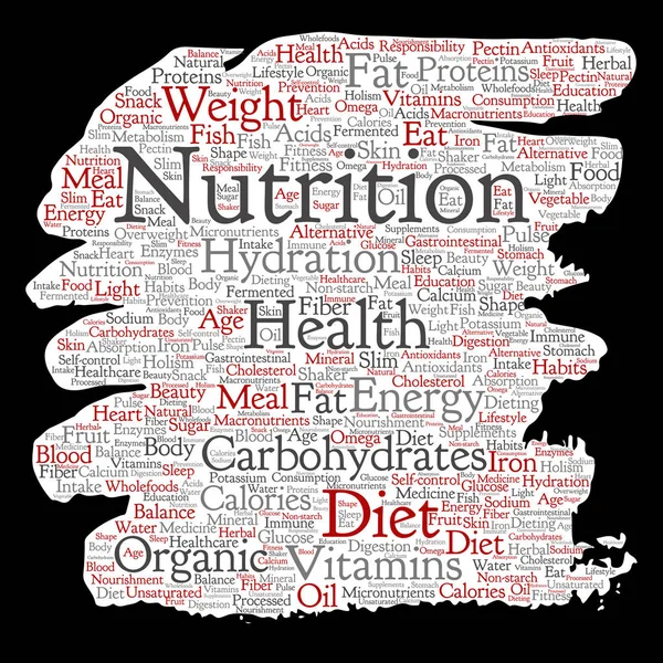 Vector Conceptual Nutrition Health Diet Paint Brush Paper Word Cloud — Stock Vector