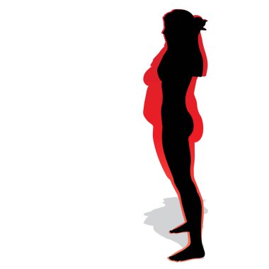 Kavramsal şişman kilolu obez kadın vs fit sağlıklı vücut kilo kaybını takiben ince ya da diyet izole kas ince olan kadın. Fitness, beslenme veya şişmanlık obezite, sağlık siluet şekli