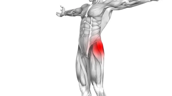 Conceptual Hip Human Anatomy Red Hot Spot Inflammation Articular Joint — Stock Photo, Image