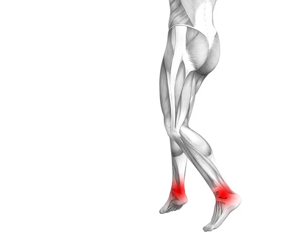 Conceptual ankle human anatomy with red hot spot inflammation or articular joint pain for leg health care therapy or sport muscle concepts. 3D illustration man arthritis or bone osteoporosis disease