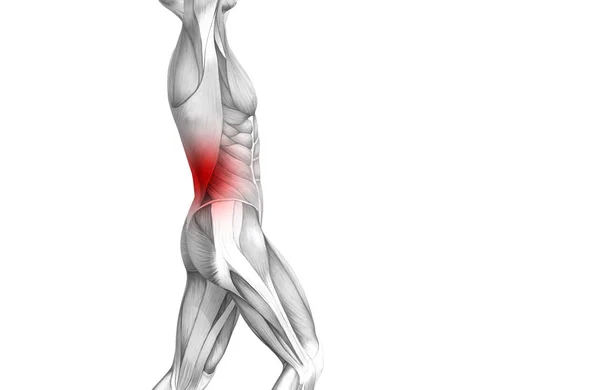 Conceptuele Terug Menselijke Anatomie Met Rode Hotspot Ontsteking Articulaire Gezamenlijke — Stockfoto