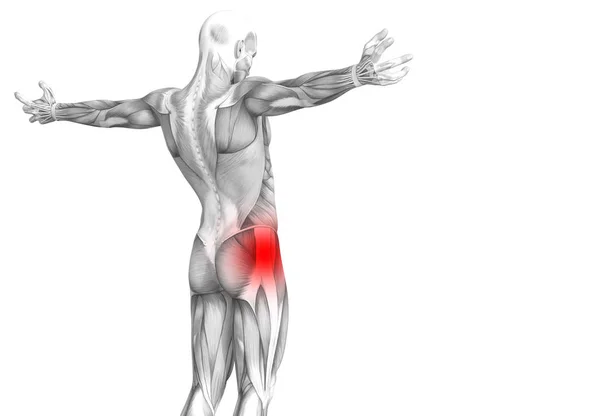 赤ホット スポット炎症関節関節痛足医療療法またはスポーツ筋概念と概念ヒップ人体解剖 イラスト人関節炎や骨痛骨粗鬆症病 — ストック写真
