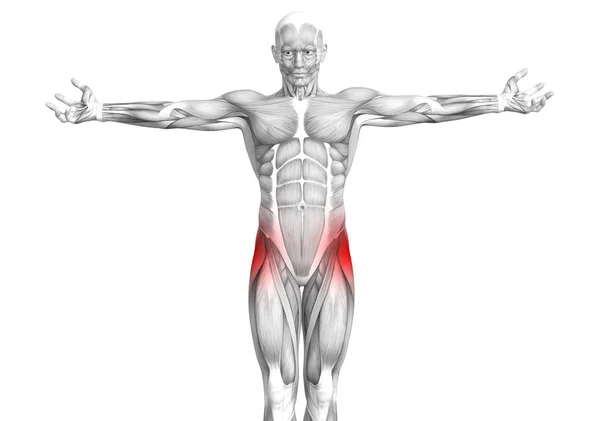 Koncepcyjne Hip Anatomii Człowieka Red Hot Spot Zapalenie Stawowe Bóle — Zdjęcie stockowe