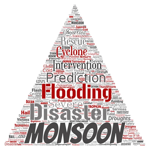 Векторный Концептуальный Муссон Опасный Метеорологический Треугольник Стрелкой Слово Облако Изолированный — стоковый вектор