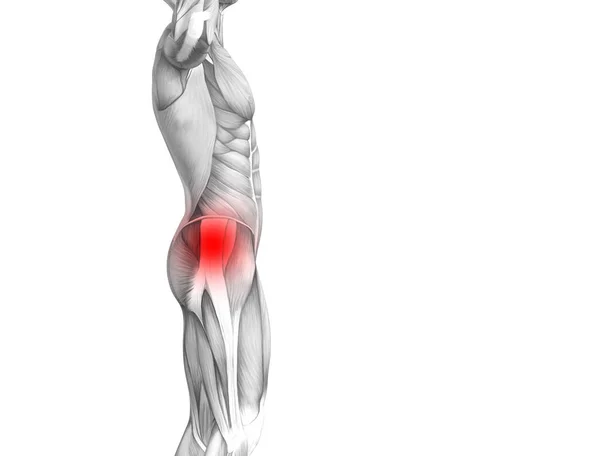 Koncepcyjne Hip Anatomii Człowieka Red Hot Spot Zapalenie Stawowe Bóle — Zdjęcie stockowe
