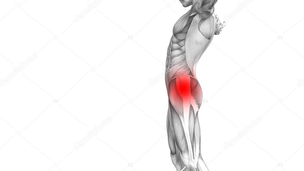 Conceptual hip human anatomy with red hot spot inflammation articular joint pain for leg, 3D illustration man arthritis or bone sore osteoporosis disease