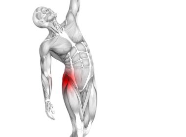 Kırmızı sıcak nokta inflamasyon eklem eklem ağrısı için bacak sağlık tedavi veya spor kas kavramı ile kavramsal hip insan anatomisi. 3D çizim adam artrit veya kemik boğaz osteoporoz hastalığı