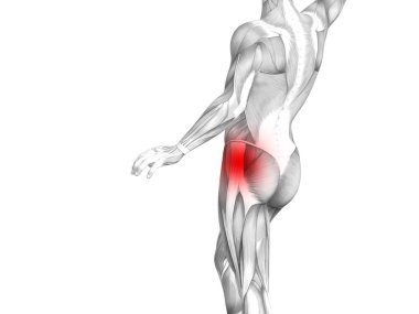 Kırmızı sıcak nokta inflamasyon eklem eklem ağrısı için bacak sağlık tedavi veya spor kas kavramı ile kavramsal hip insan anatomisi. 3D çizim adam artrit veya kemik boğaz osteoporoz hastalığı