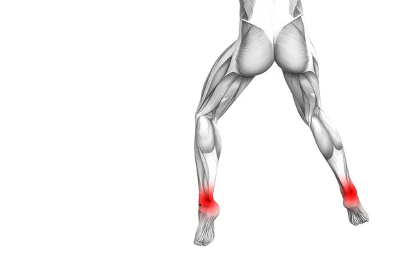 Концептуальная Анатомия Лодыжки Человека Воспалением Красной Горячей Точки Суставной Болью — стоковое фото