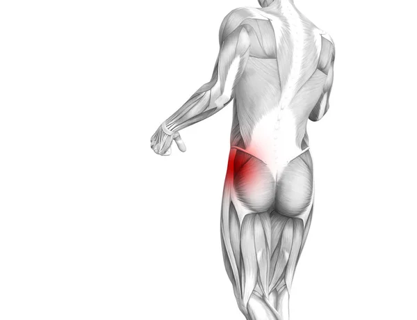 赤ホット スポット炎症関節関節痛足医療療法またはスポーツ筋概念と概念ヒップ人体解剖 イラスト人関節炎や骨痛骨粗鬆症病 — ストック写真