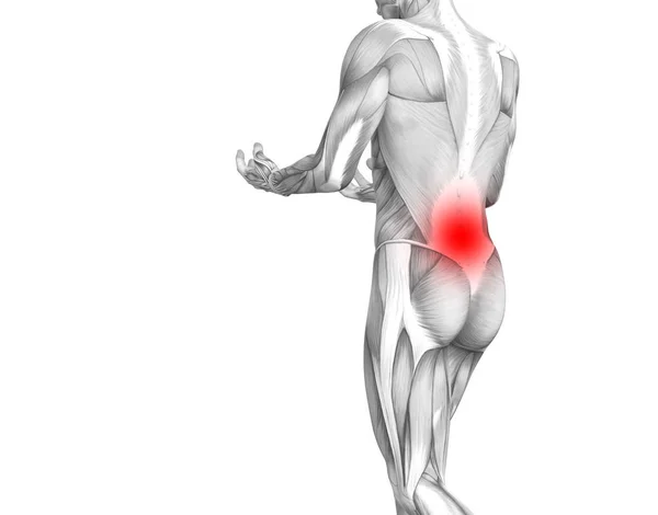 Konzeptionelle Anatomie Des Menschlichen Rückens Mit Roten Brennpunkten Entzündung Gelenkschmerzen — Stockfoto