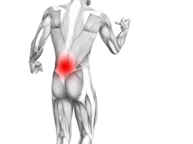 Kırmızı sıcak nokta inflamasyon eklem eklem ağrı ya da omurga sağlık tedavi veya spor kas kavramı ile kavramsal geri insan anatomisi. 3D çizim adam artrit veya kemik boğaz osteoporoz hastalığı