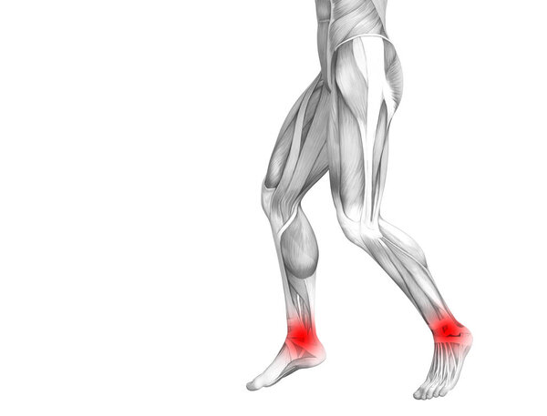 Концептуальные лодыжки анатомии человека с красными горячими точками воспаления или суставной боли в суставах для лечения здоровья ног или концепции спортивных мышц. 3D иллюстрация человека артрит или болезнь костного остеопороза
