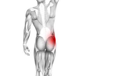 Kırmızı sıcak nokta inflamasyon eklem eklem ağrısı için bacak sağlık tedavi veya spor kas kavramı ile kavramsal hip insan anatomisi. 3D çizim adam artrit veya kemik boğaz osteoporoz hastalığı