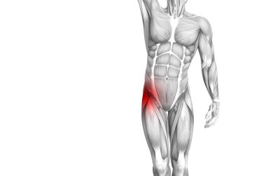 Kırmızı sıcak nokta inflamasyon eklem eklem ağrısı için bacak sağlık tedavi veya spor kas kavramı ile kavramsal hip insan anatomisi. 3D çizim adam artrit veya kemik boğaz osteoporoz hastalığı