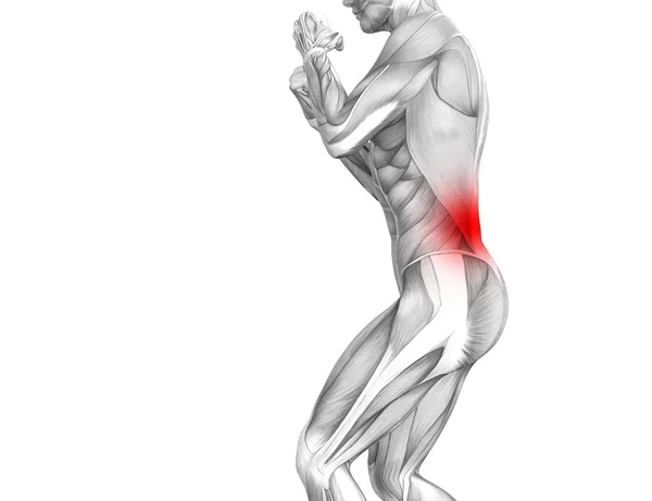 Концептуальная Анатомия Спины Человека Воспалением Красной Горячей Точки Суставной Боли — стоковое фото