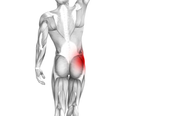 赤ホット スポット炎症関節関節痛足医療療法またはスポーツ筋概念と概念ヒップ人体解剖 イラスト人関節炎や骨痛骨粗鬆症病 — ストック写真