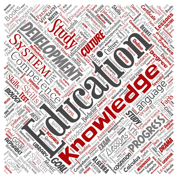 Vector Konceptuella Utbildning Kunskap Information Fyrkantig Röd Word Cloud Isolerade — Stock vektor