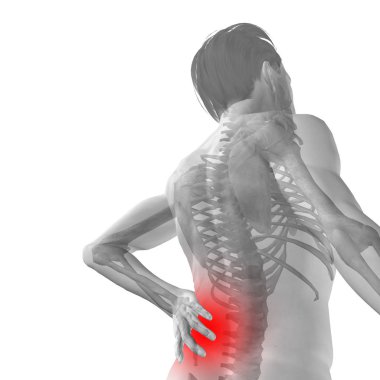 Yüksek çözünürlüklü kavram ya da kavramsal 3d insan erkek veya adam anatomisi bel ağrısı beyaz arka plan üzerinde izole ile