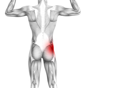 Kırmızı sıcak nokta inflamasyon eklem eklem ağrısı için bacak sağlık tedavi veya spor kas kavramı ile kavramsal hip insan anatomisi. 3D çizim adam artrit veya kemik boğaz osteoporoz hastalığı