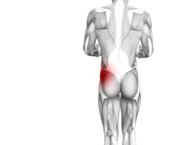 Kırmızı sıcak nokta inflamasyon eklem eklem ağrısı için bacak sağlık tedavi veya spor kas kavramı ile kavramsal hip insan anatomisi. 3D çizim adam artrit veya kemik boğaz osteoporoz hastalığı