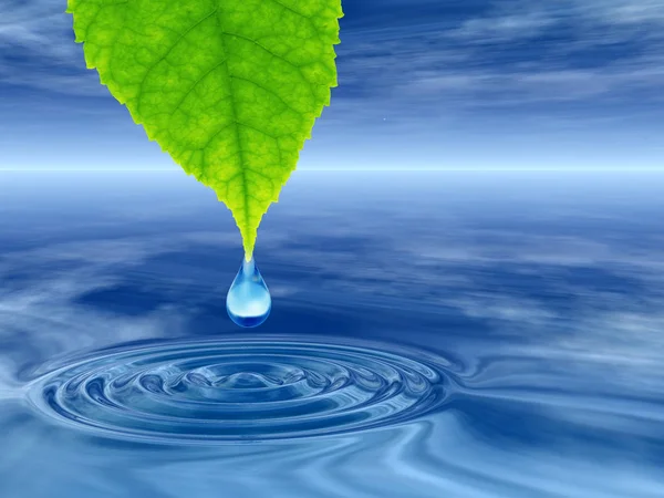 Concept Conceptual Clean Spring Water Dew Drop Falling Green Fresh — Stock Photo, Image