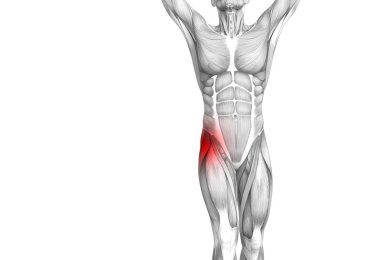 Kırmızı sıcak nokta inflamasyon eklem eklem ağrısı için bacak sağlık tedavi veya spor kas kavramı ile kavramsal hip insan anatomisi. 3D çizim adam artrit veya kemik boğaz osteoporoz hastalığı