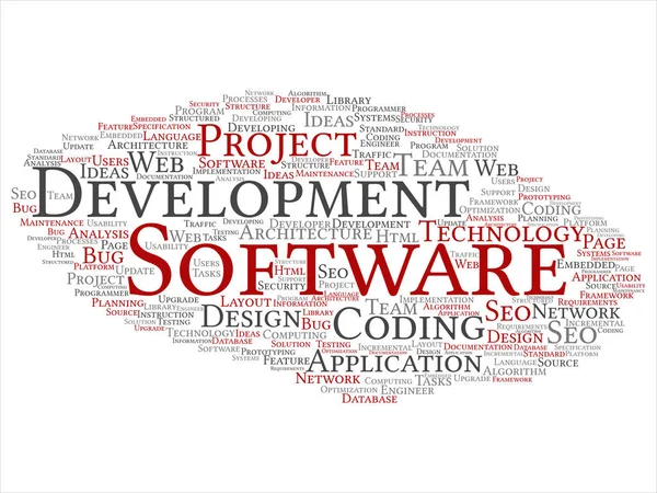 Conceito Vetor Desenvolvimento Software Conceitual Tecnologia Codificação Projeto Nuvem Palavras — Fotografia de Stock