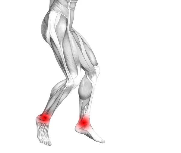 概念脚踝人体解剖学与红色热点炎症或关节关节疼痛的腿保健治疗或运动肌肉的概念 图示人关节炎或骨质疏松症 — 图库照片