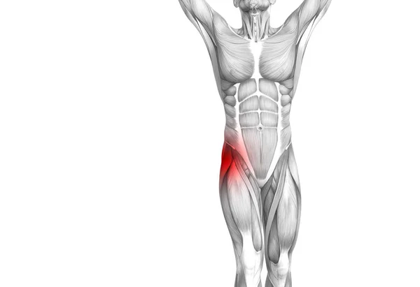 Anatomia Humana Quadril Conceitual Com Inflamação Ponto Quente Vermelho Dor — Fotografia de Stock