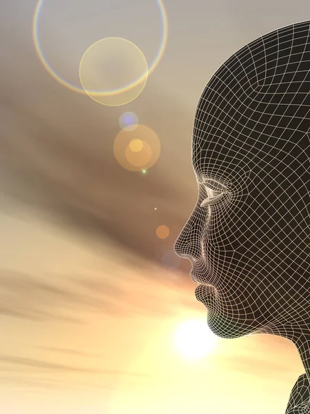 Kavram ya da kavramsal 3d illüstrasyon soyut tel kafes genç insan erkek ya da kadın kafası, günbatımı gökyüzü arka plan