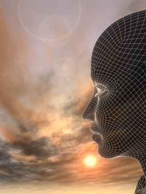 Kavram ya da kavramsal 3d illüstrasyon soyut tel kafes genç insan erkek ya da kadın kafası, günbatımı gökyüzü arka plan