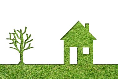 Beyaz arka plan üzerinde kavramsal house simge veya mecaz ufuktan taze yaz veya bahar çimen yapılmış yeşil bir ağaç izole