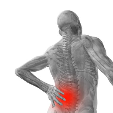 Yüksek çözünürlüklü kavram ya da kavramsal 3d insan erkek veya adam anatomisi bel ağrısı beyaz arka plan üzerinde izole ile