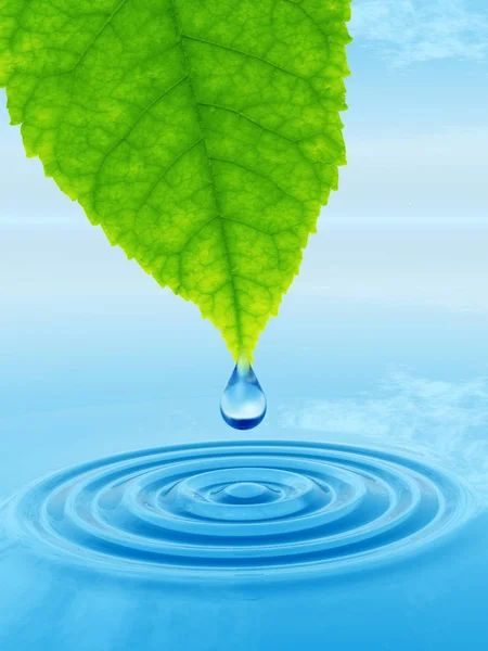 Concept or conceptual clean spring water or dew drop falling from a green fresh leaf on 3D illustration blue clear water making waves