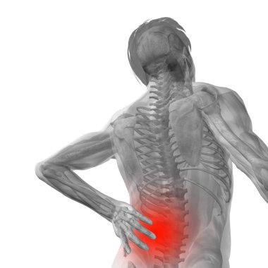 Yüksek çözünürlüklü kavram ya da kavramsal 3d insan erkek veya adam anatomisi bel ağrısı beyaz arka plan üzerinde izole ile