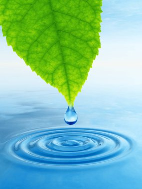 Kavram ya da kavramsal temiz kaynak suyu veya çiğ bırakın dalgalar yapma 3d illüstrasyon mavi temiz su üzerinde yeşil bir taze yaprak düşüyor