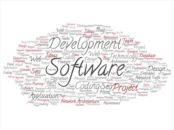 Concepto Desarrollo Software Conceptual Proyecto Codificación Tecnología Abstracta Palabra Nube —  Fotos de Stock