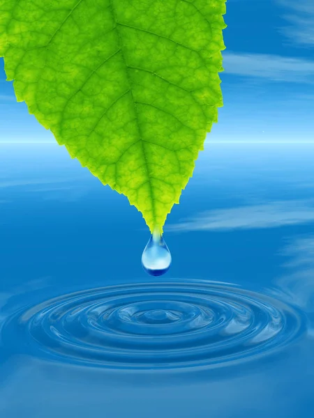 Concept Conceptuele Schone Bronwater Dew Drop Vallen Van Een Groene — Stockfoto