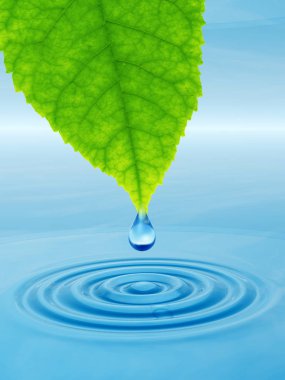 Kavram ya da kavramsal temiz kaynak suyu veya çiğ bırakın dalgalar yapma 3d illüstrasyon mavi temiz su üzerinde yeşil bir taze yaprak düşüyor