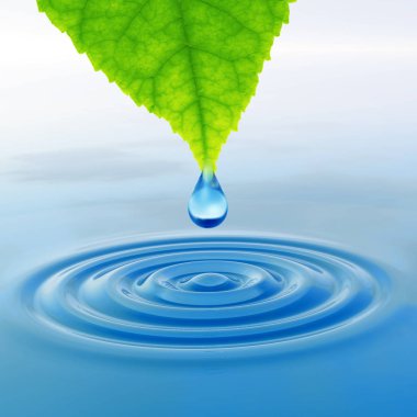 Kavram ya da kavramsal temiz kaynak suyu veya çiğ bırakın dalgalar yapma 3d illüstrasyon mavi temiz su üzerinde yeşil bir taze yaprak düşüyor