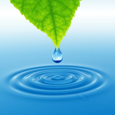 Kavram ya da kavramsal temiz kaynak suyu veya çiğ bırakın dalgalar yapma 3d illüstrasyon mavi temiz su üzerinde yeşil bir taze yaprak düşüyor